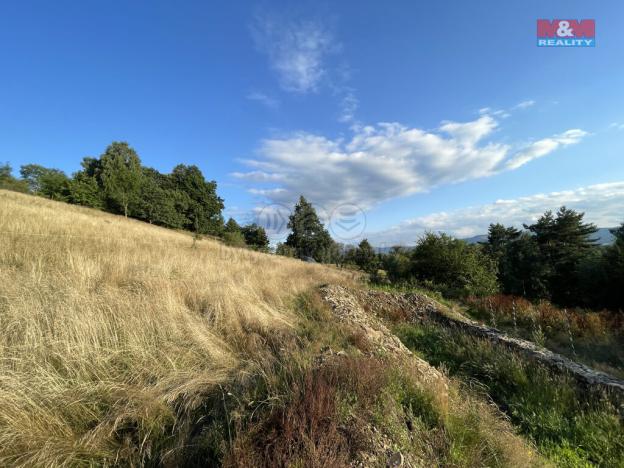 Prodej pozemku pro bydlení, Chrastava - Horní Vítkov, 1872 m2