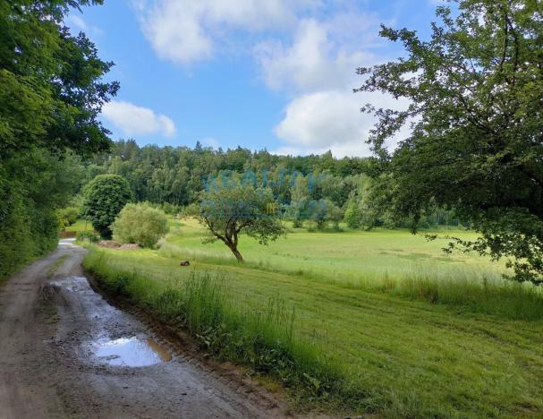 Prodej pozemku pro bydlení, Blíževedly - Skalka, 4292 m2