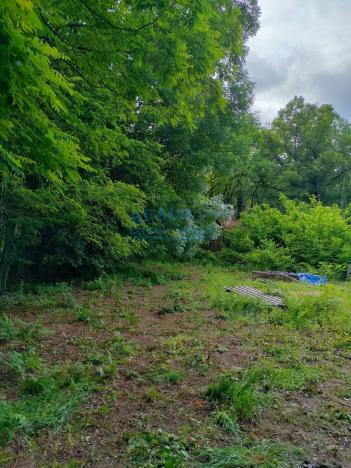 Prodej pozemku pro bydlení, Blíževedly - Skalka, 4292 m2