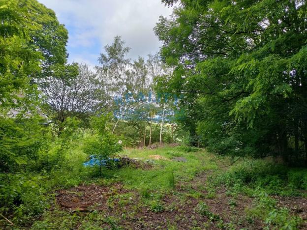 Prodej pozemku pro bydlení, Blíževedly - Skalka, 4292 m2