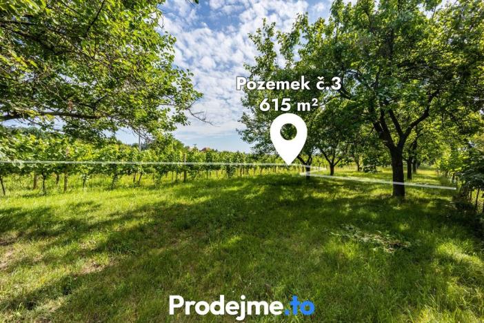Prodej rodinného domu, Nový Šaldorf-Sedlešovice, 65 m2