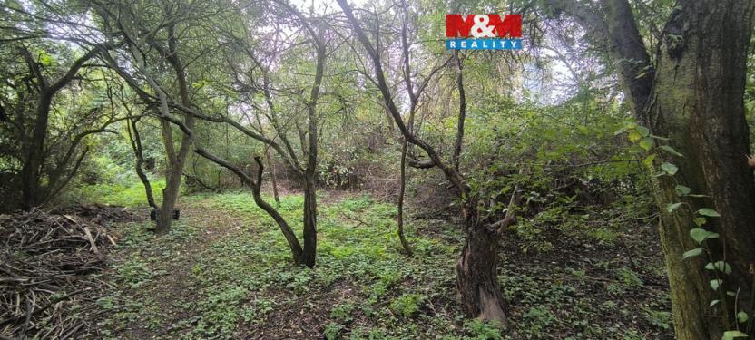 Prodej zahrady, Obrnice, Mírová, 766 m2
