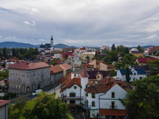 Prodej ubytování, Příbor, Švédská, 1604 m2