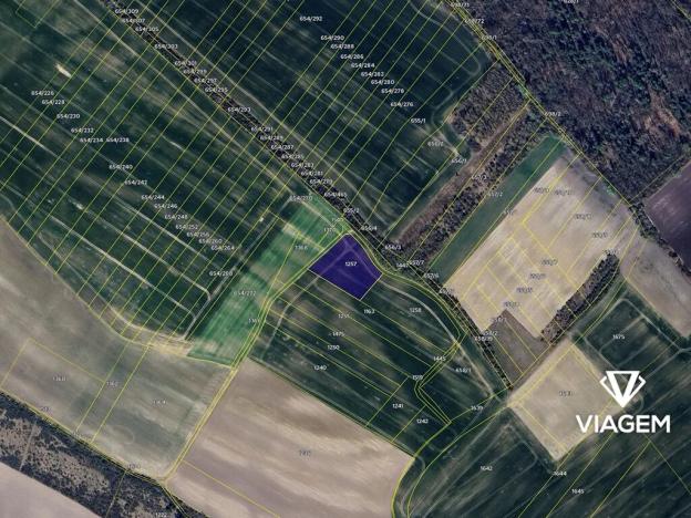 Prodej podílu pole, Nedomice, 3113 m2