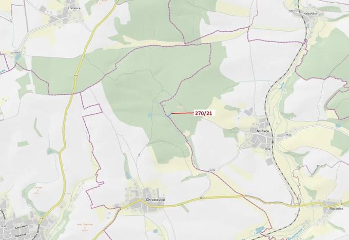 Dražba lesa, Milavče, 1537 m2