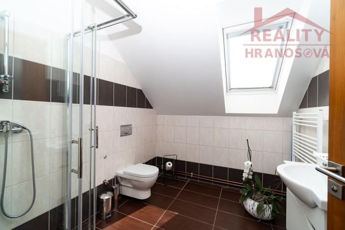 Prodej obchodního prostoru, Dolní Benešov, Vývoz, 39 m2