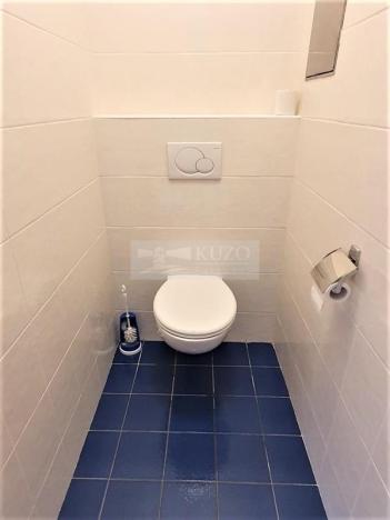 Pronájem bytu 2+kk, Praha, Patočkova, 80 m2