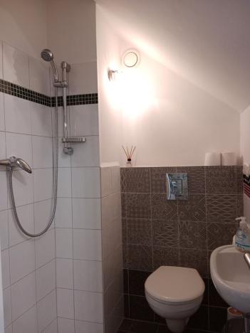 Pronájem obchodního prostoru, České Budějovice - České Budějovice 4, Rudolfovská tř., 60 m2