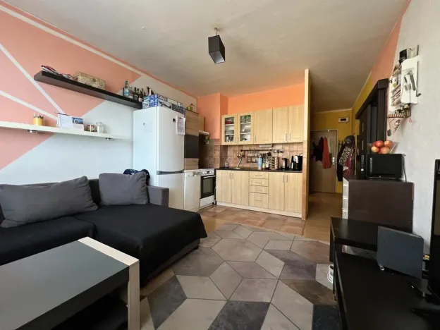 Prodej bytu 1+1, Pardubice - Zelené Předměstí, nábřeží Závodu míru, 40 m2