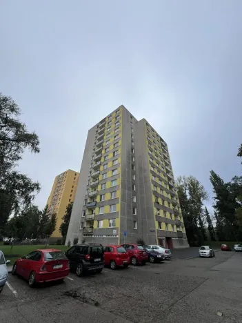 Prodej bytu 1+1, Pardubice - Zelené Předměstí, nábřeží Závodu míru, 40 m2