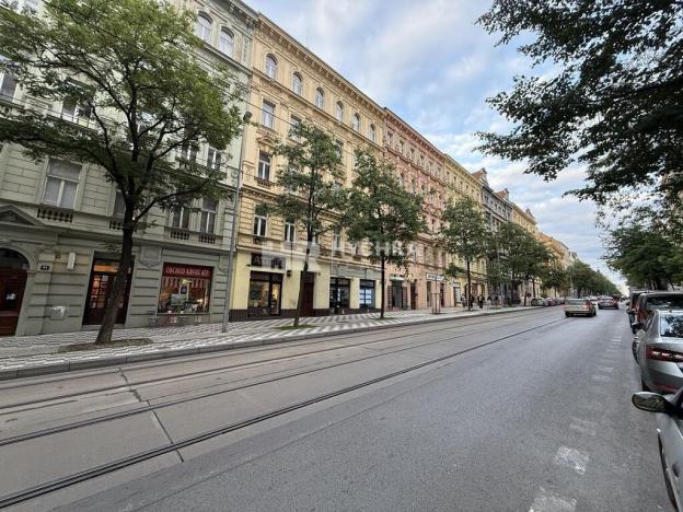 Pronájem bytu 3+kk, Praha - Vinohrady, 159 m2