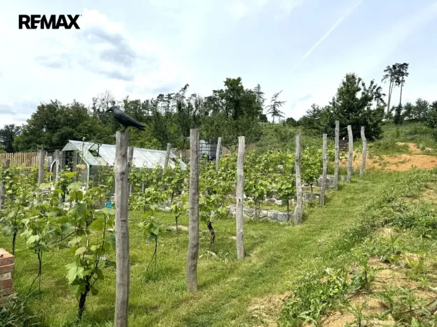 Prodej chalupy, Krahulov, 418 m2