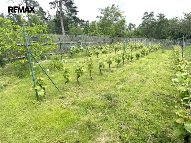 Prodej rodinného domu, Krahulov, 418 m2