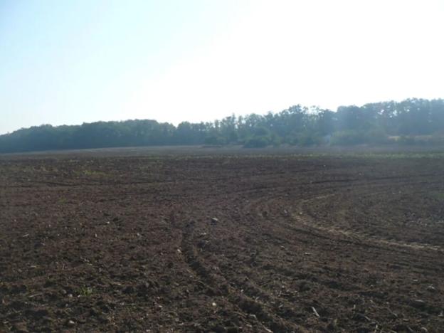 Prodej komerčního pozemku, Veltrusy, 55948 m2