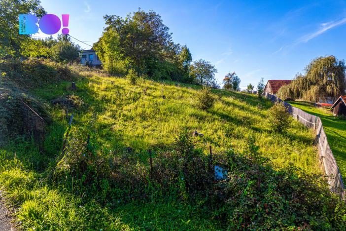 Prodej pozemku pro bydlení, Rybí, 1280 m2