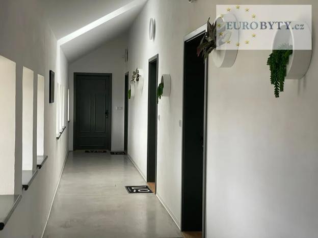 Pronájem bytu 1+kk, Praha - Vršovice, Bartoškova, 40 m2