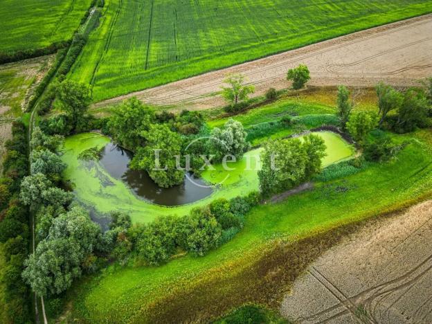 Prodej zemědělského objektu, Běrunice, 600 m2
