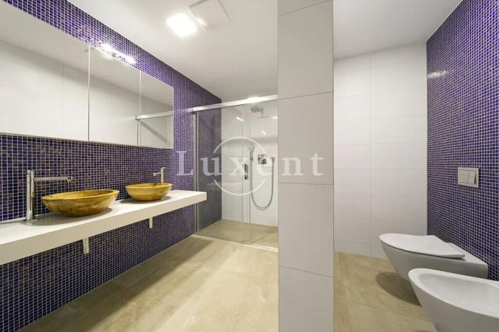 Pronájem bytu 4+kk, Plzeň, Šafaříkovy sady, 195 m2