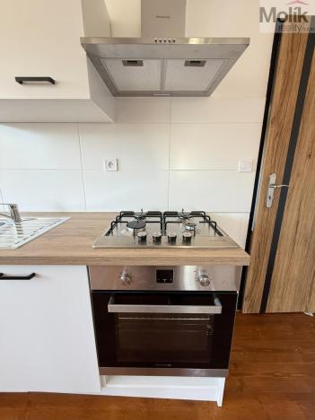 Pronájem bytu 3+kk, Osek, Tovární, 66 m2