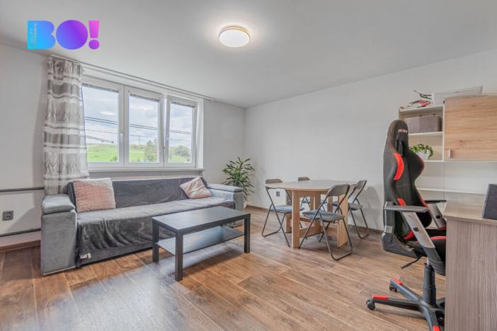 Prodej bytu 3+1, Hanušovice - Hynčice nad Moravou, 55 m2