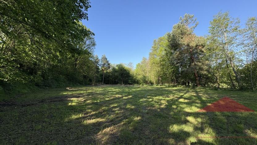 Prodej louky, Sušice, 4200 m2