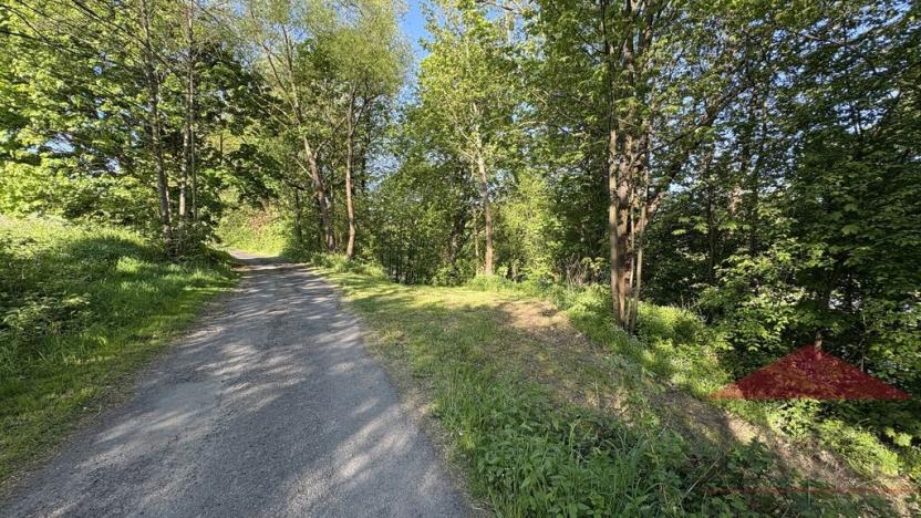 Prodej louky, Sušice, 4420 m2