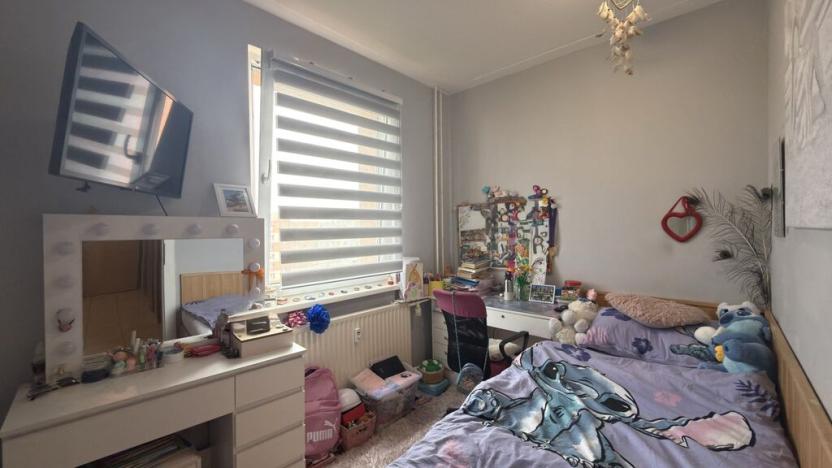 Prodej bytu 4+1, České Budějovice - České Budějovice 2, M. Chlajna, 67 m2