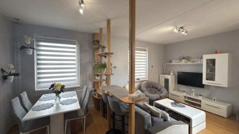 Prodej bytu 4+1, České Budějovice - České Budějovice 2, M. Chlajna, 67 m2