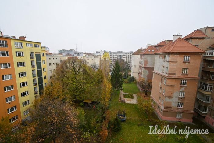 Pronájem bytu 2+kk, Brno - Veveří, Kotlářská, 40 m2