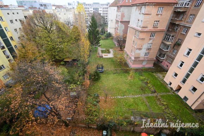 Pronájem bytu 2+kk, Brno - Veveří, Kotlářská, 40 m2