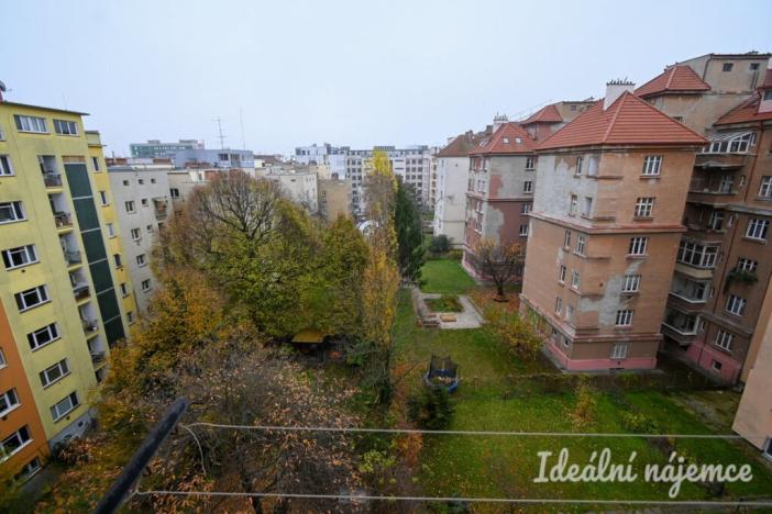 Pronájem bytu 2+kk, Brno - Veveří, Kotlářská, 40 m2