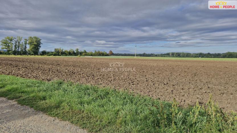 Prodej komerčního pozemku, Malešovice, 12361 m2