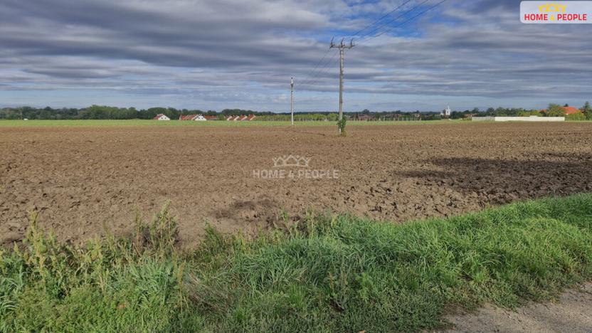 Prodej komerčního pozemku, Malešovice, 12361 m2