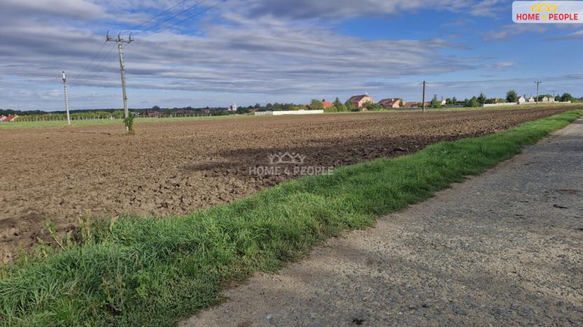 Prodej komerčního pozemku, Malešovice, 12361 m2