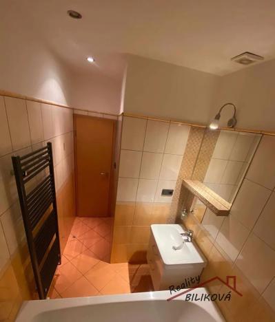 Pronájem bytu 2+kk, Brandýs nad Labem-Stará Boleslav, Riegrova, 46 m2