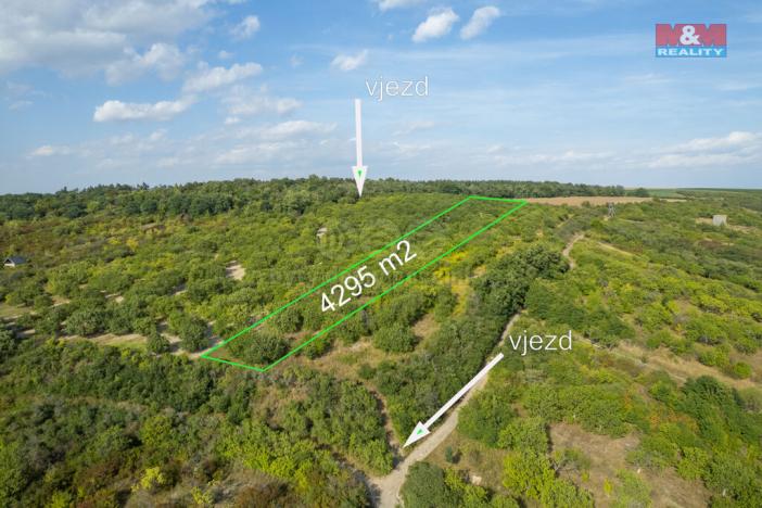 Prodej pole, Židlochovice, 4295 m2