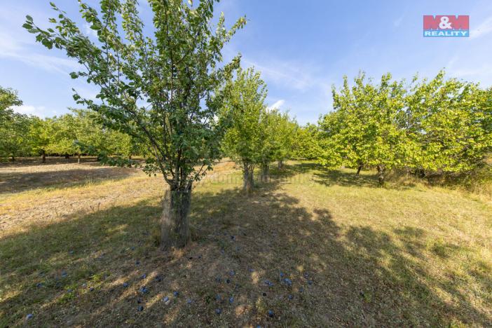 Prodej pole, Židlochovice, 4295 m2