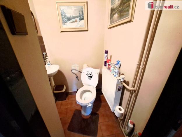 Prodej rodinného domu, Františkovy Lázně - Horní Lomany, Konečná, 430 m2