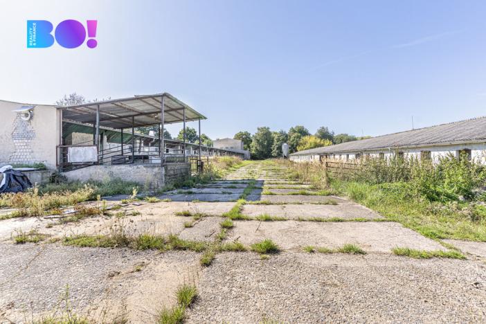 Prodej zemědělského objektu, Horní Kruty, 17219 m2