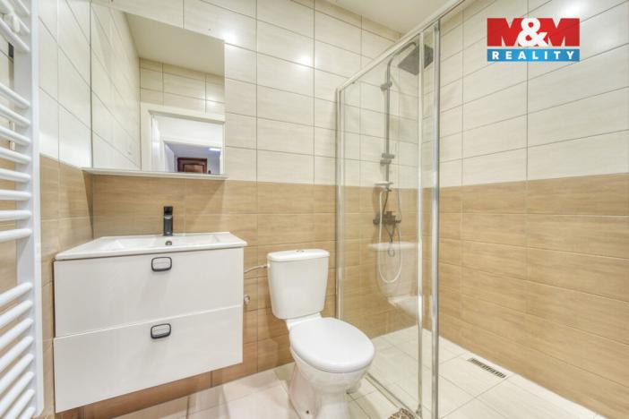 Prodej rodinného domu, Chotěšov, Starý mlýn, 353 m2