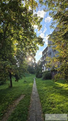 Prodej bytu 4+1, Příbram, Pod Haldou, 85 m2