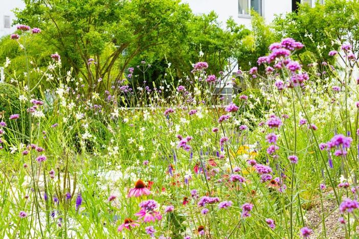 Pronájem kanceláře, Praha - Nové Město, Truhlářská, 250 m2