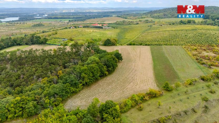 Prodej pole, Roudnice nad Labem, 11093 m2