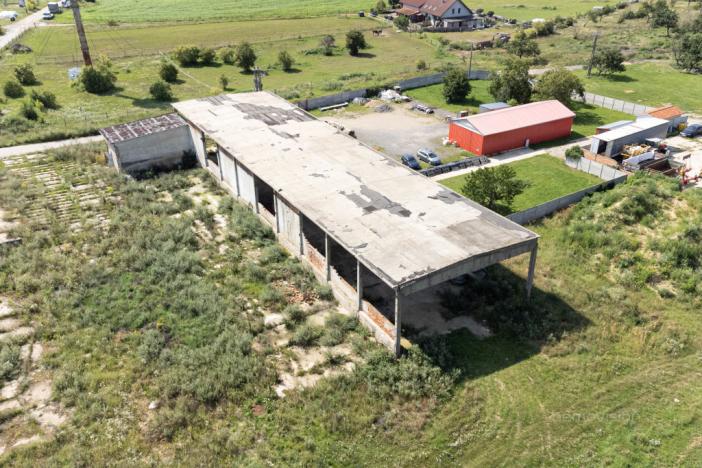 Prodej komerčního pozemku, Přibice, Přibice, 8115 m2