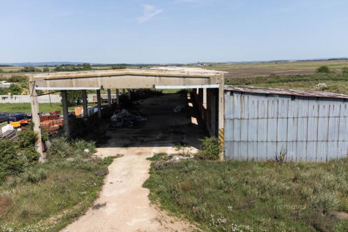 Prodej komerčního pozemku, Přibice, Přibice, 8115 m2