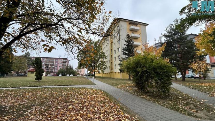 Pronájem bytu 2+1, Třebíč, Demlova, 55 m2