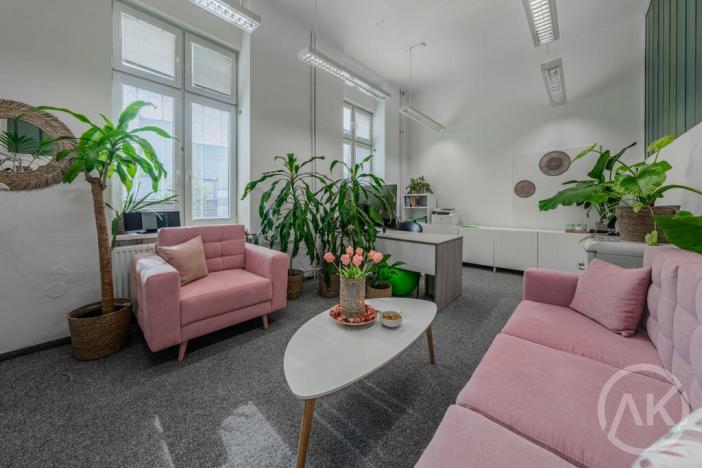 Pronájem kanceláře, Ostrava - Vítkovice, Ruská, 19 m2