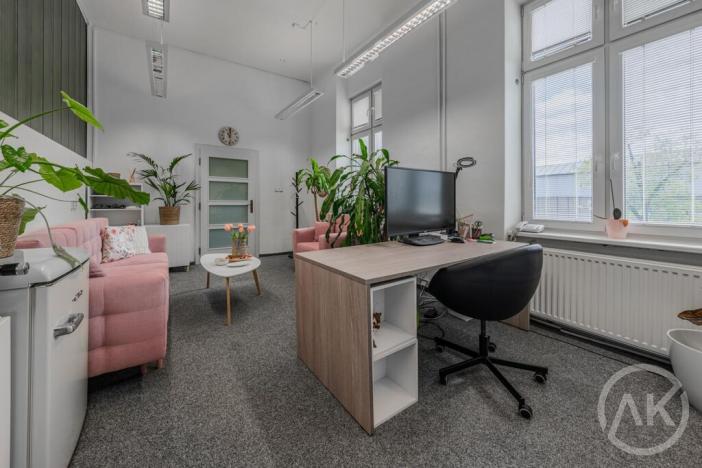 Pronájem kanceláře, Ostrava - Vítkovice, Ruská, 19 m2