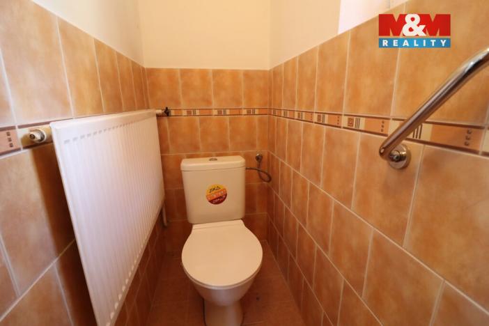 Prodej rodinného domu, Velemyšleves - Truzenice, 400 m2