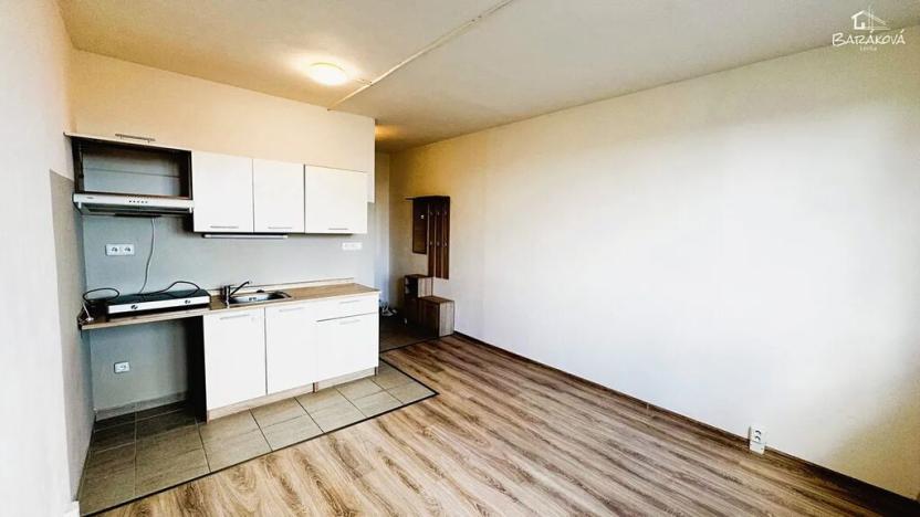Pronájem bytu 1+kk, Plzeň, Skupova, 20 m2